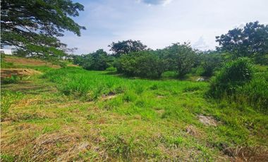 LOTE EN VENTA, CERRITOS, PEREIRA, RISARALDA