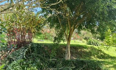 Hermosa finca en Amalfi Antioquia
