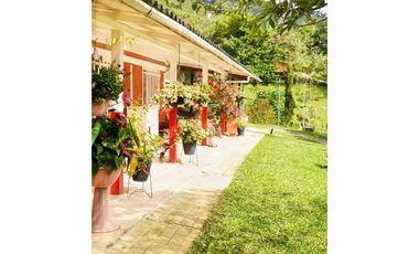 Hermosa finca en Amalfi Antioquia