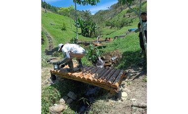 Hermosa finca en Amalfi Antioquia