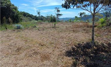 Hermosa finca en Amalfi Antioquia