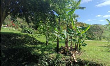 Hermosa finca en Amalfi Antioquia