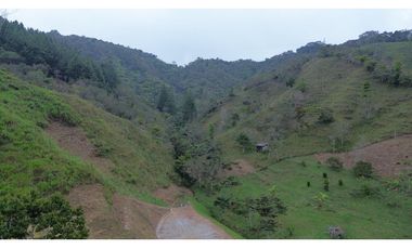 Hermosa finca en Amalfi Antioquia