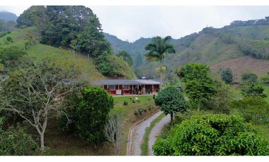Hermosa finca en Amalfi Antioquia