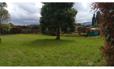 VENDO LOTE 720 M2 LA BALSA CHIA | 365 |