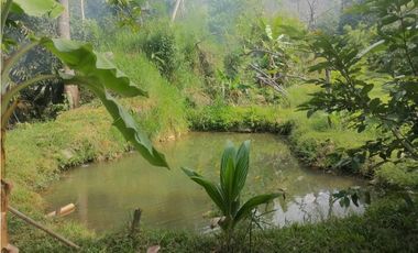 Finca en Venta, Cisneros, vía a la costa, 2 casas, estanques con peces