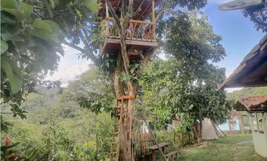 Finca en Venta, Cisneros, vía a la costa, 2 casas, estanques con peces