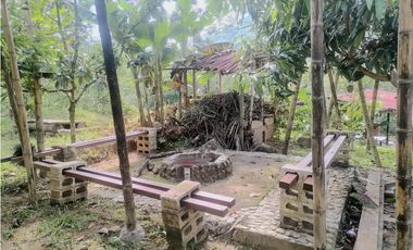 Finca en Venta, Cisneros, vía a la costa, 2 casas, estanques con peces