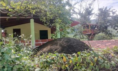 Finca en Venta, Cisneros, vía a la costa, 2 casas, estanques con peces