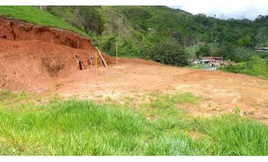 Venta de finca más loteo, área 18.560 m² en Cisneros, Antioquia