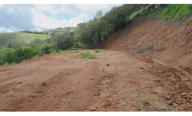 Venta de finca más loteo, área 18.560 m² en Cisneros, Antioquia