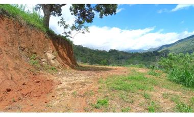 Venta de finca más loteo, área 18.560 m² en Cisneros, Antioquia