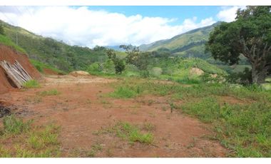 Venta de finca más loteo, área 18.560 m² en Cisneros, Antioquia