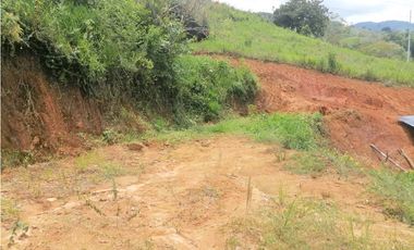 Venta de finca más loteo, área 18.560 m² en Cisneros, Antioquia
