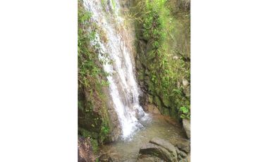 Venta de finca más loteo, área 18.560 m² en Cisneros, Antioquia