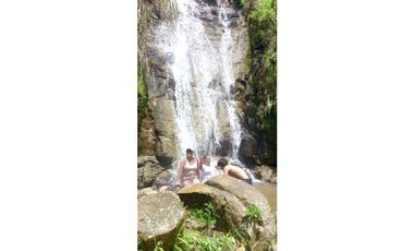 Venta de finca más loteo, área 18.560 m² en Cisneros, Antioquia