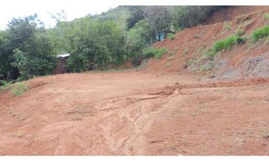 Venta de finca más loteo, área 18.560 m² en Cisneros, Antioquia