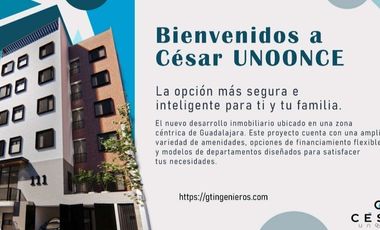 LA MEJOR OPCION PARA INVERTIR CECA DE LA MINERVA