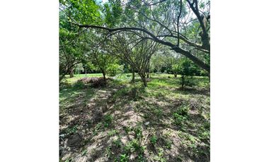 FINCA UBICADA EN EL MUNICIPIO DE MALAMBO ( EL CARME)  ATLANTICO