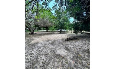 FINCA UBICADA EN EL MUNICIPIO DE MALAMBO ( EL CARME)  ATLANTICO