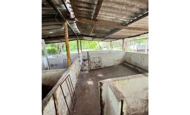 FINCA UBICADA EN EL MUNICIPIO DE MALAMBO ( EL CARME)  ATLANTICO