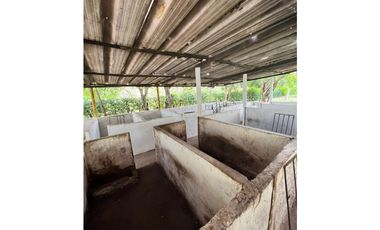 FINCA UBICADA EN EL MUNICIPIO DE MALAMBO ( EL CARME)  ATLANTICO