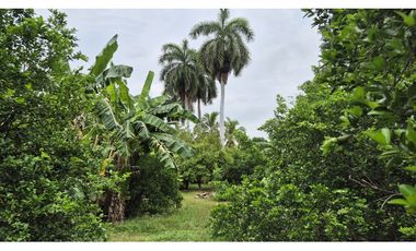 Lote Urbano en Ricaurte – Gran Potencial Residencial y Comercial