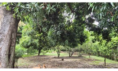 Lote Urbano en Ricaurte – Gran Potencial Residencial y Comercial