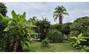 Lote Urbano en Ricaurte – Gran Potencial Residencial y Comercial