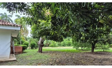 Lote Urbano en Ricaurte – Gran Potencial Residencial y Comercial