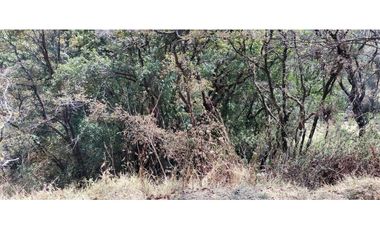 Terreno en Venta para inversionista en Huixquilucan, Estado de México.