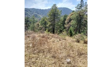 Terreno en Venta para inversionista en Huixquilucan, Estado de México.
