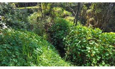 Terreno en Venta en fraccionamiento ecológico con Casa Club