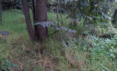 Terreno en Venta en fraccionamiento ecológico con Casa Club