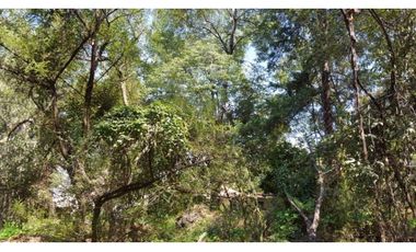Terreno en Venta en fraccionamiento ecológico con Casa Club