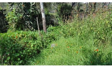 Terreno en Venta en fraccionamiento ecológico con Casa Club