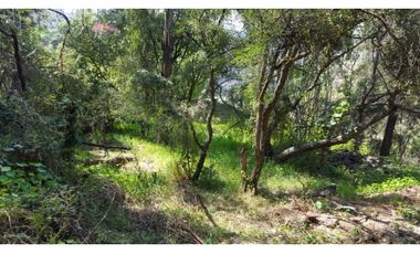 Terreno en Venta en fraccionamiento ecológico con Casa Club