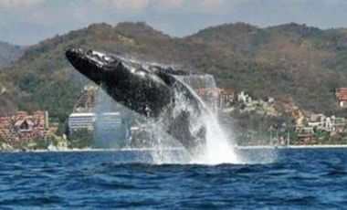 Casa en Venta en Playa Blanca, Zihuatanejo, Gro, México