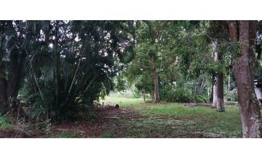 VENTA DE FINCA EN ÑAJU  - CHILIBRE VA principal