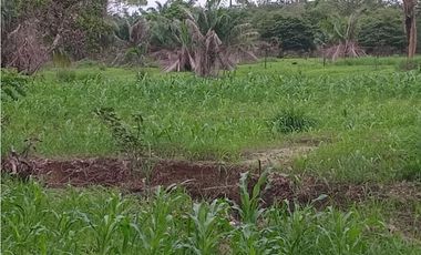 VENTA DE FINCA EN ÑAJU  - CHILIBRE VA principal