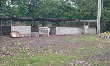 VENTA DE FINCA EN ÑAJU  - CHILIBRE VA principal