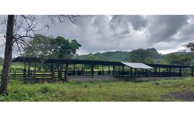 VENTA DE FINCA EN ÑAJU  - CHILIBRE VA principal