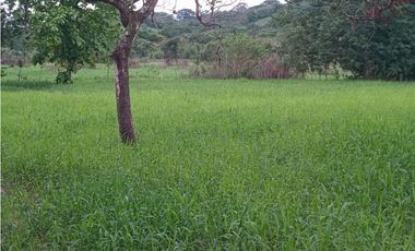 VENTA DE FINCA EN ÑAJU  - CHILIBRE VA principal