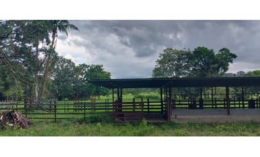 VENTA DE FINCA EN ÑAJU  - CHILIBRE VA principal