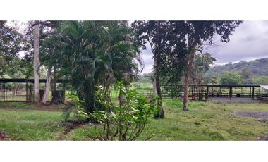 VENTA DE FINCA EN ÑAJU  - CHILIBRE VA principal