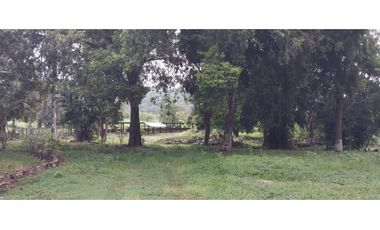 VENTA DE FINCA EN ÑAJU  - CHILIBRE VA principal