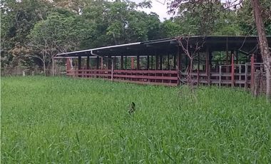 VENTA DE FINCA EN ÑAJU  - CHILIBRE VA principal