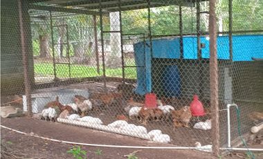 VENTA DE FINCA EN ÑAJU  - CHILIBRE VA principal