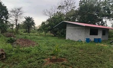 Vendo casa en construccion titulada en Dolega