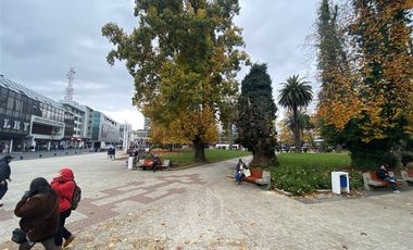 Local Comercial en Arriendo en Local esquina Plaza Armas con gran flujo comercial